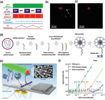  Nanodiamond: Applications For Advanced Quantum Computing and High-Performance Lubricants!