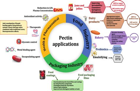  Pectin: Ứng Dụng Trong Công Nghiệp Thực Phẩm Và Sản Xuất Mỹ Phẩm!