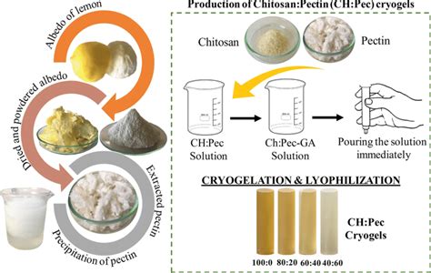  Pectin - Tăng cường kết cấu và độ nhớt cho ngành công nghiệp thực phẩm!