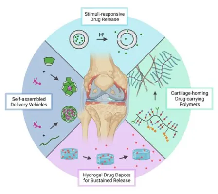 Xenogels: Unleashing Advanced Properties for Revolutionary Biomaterials and Drug Delivery Systems!