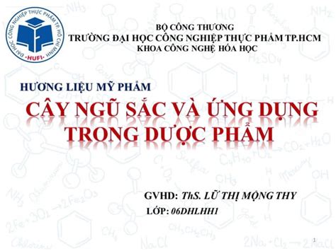  Gôm: Chế Biến Nâng Cao và Ứng Dụng Trong Sản Xuất Công Nghiệp!