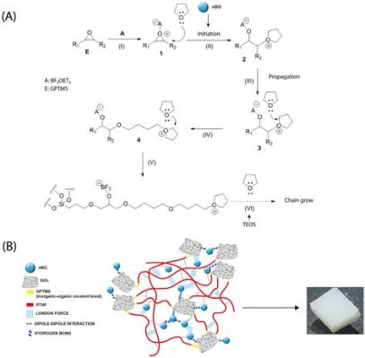  Osteoinductive Bioactive Glass: Vật liệu Tái tạo Xương Tiềm năng và Ứng dụng Trong Y Khoa Phục Hồi?